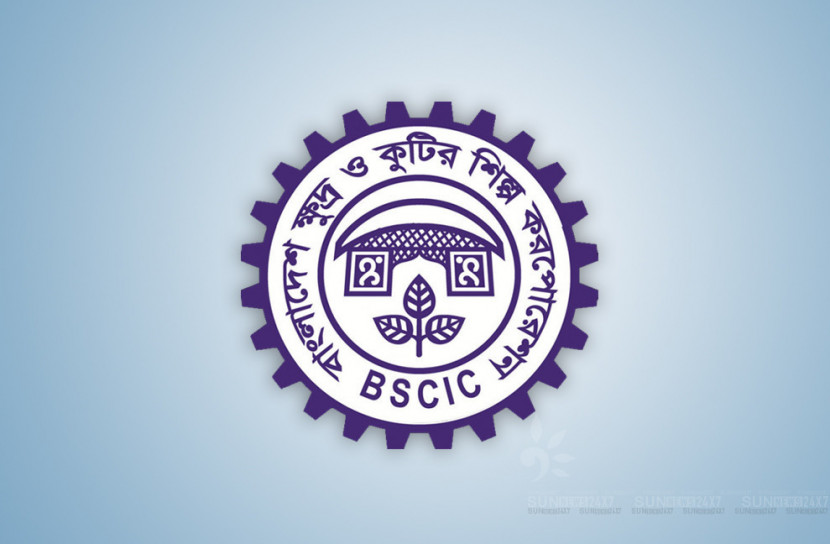 নতুন তিনটি চামড়া শিল্প পার্ক করবে বিসিক