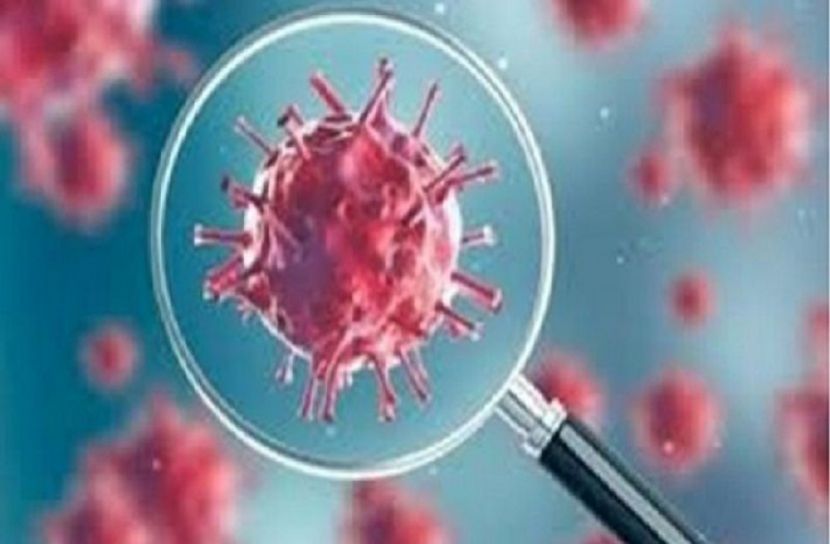 করোনায় শীতে মৃত্যুর সংখ্যা বাড়তে পারে