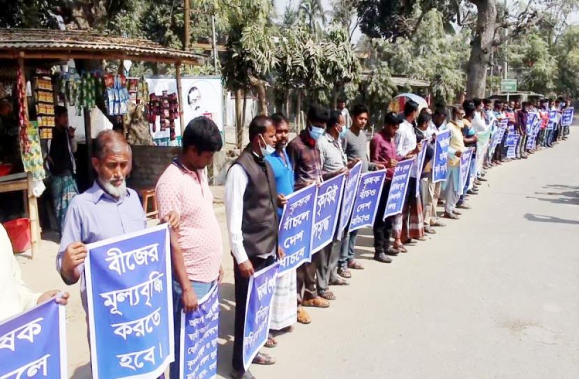 ধানের বীজ সংগ্রহ মূল্য কম নির্ধারণ, কৃষকদের মানববন্ধন