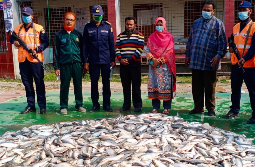 দুই হাজার কেজি জাটকা আটক