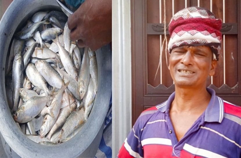 জাটকায় সয়লাব মুন্সীগঞ্জ সদর