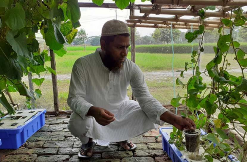 মাটিবিহীন সবজি চাষ, দেখতে মানুষের ভিড়