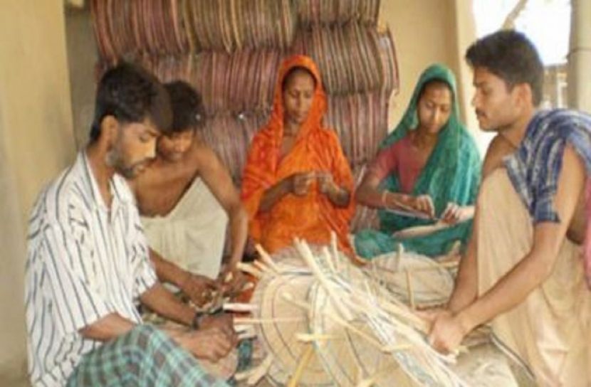 তাদের প্রধান ও একমাত্র পেশা পাখা তৈরি