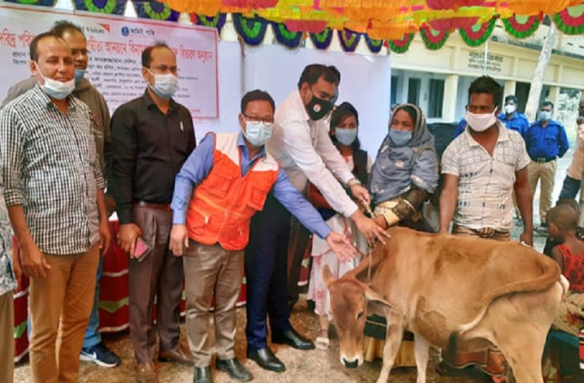 ঠাকুরগাঁওয়ে অর্ধশতাধিক পরিবারকে গরু উপহার