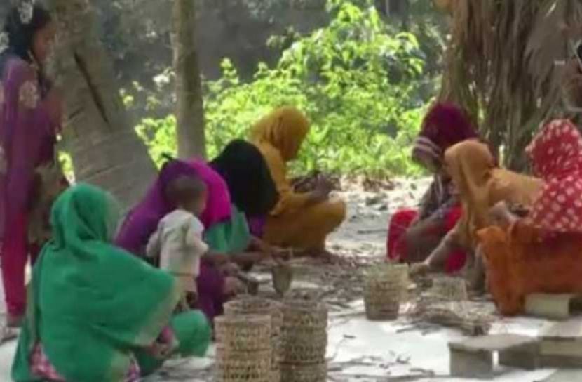 ৫০ টাকা কেজিতে বিক্রি হচ্ছে কচুরিপানা!