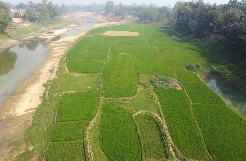 শুকিয়ে যাচ্ছে চলনবিলের বুক চিরে বয়ে যাওয়া ১৬টি নদ-নদী