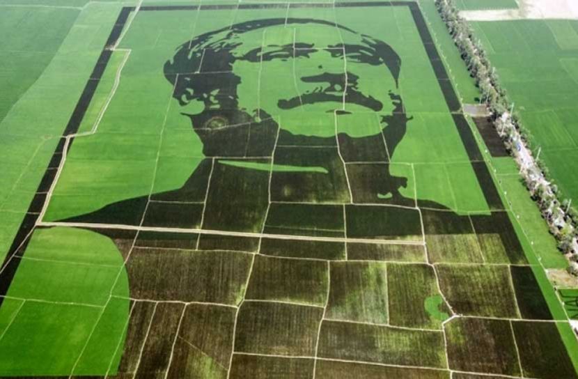 গিনেস ওয়ার্ল্ডে ‘শস্যচিত্রে বঙ্গবন্ধু’
