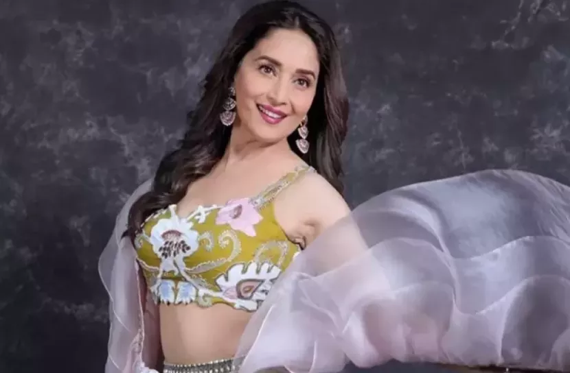 ‘মাধুরীর মধ্যে কোনো যৌন আবেদন নেই’