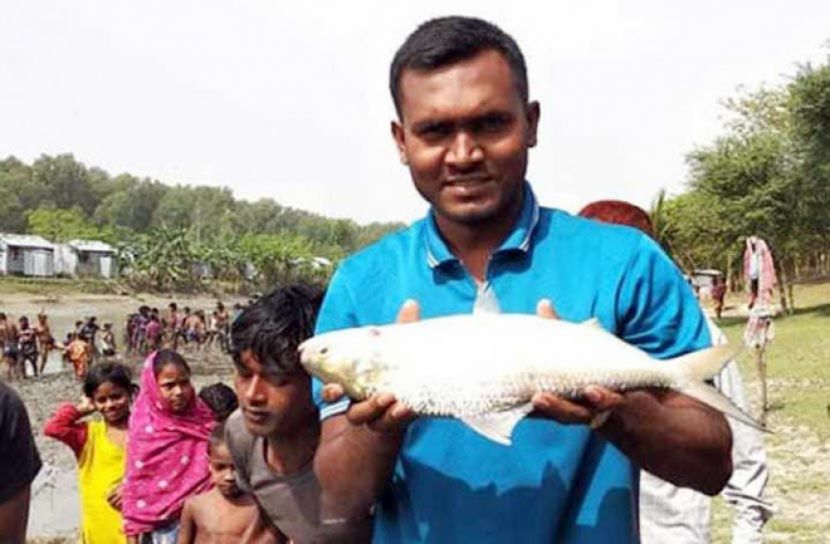 পুকুরে মিললো ১ কেজি ওজনের ইলিশ