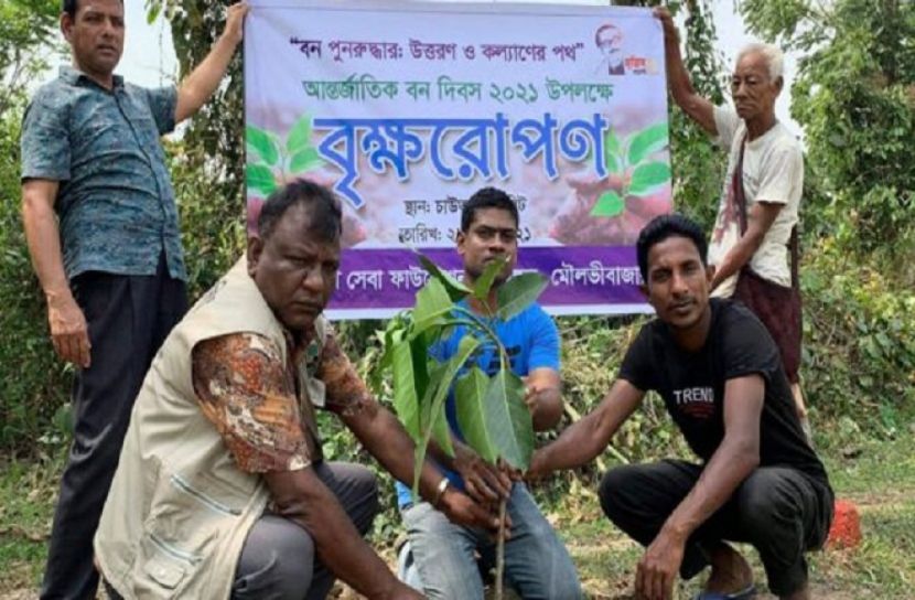 শ্রীমঙ্গলে আন্তর্জাতিক বন দিবস পালিত