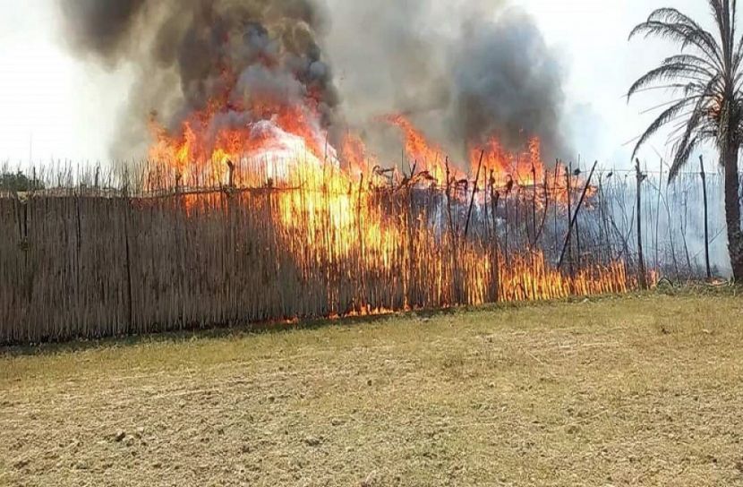 হরিণাকুণ্ডতে ১২ বিঘা জমির পানবরজ পুড়ে ছাই