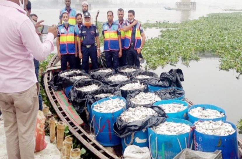 ৬ হাজার কেজি জাটকা জব্দ
