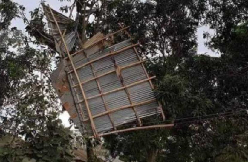 গাইবান্ধায় কালবৈশাখী ঝড়ে ৮ জনের মৃত্যু 