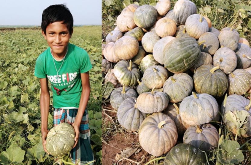 বাবার সঙ্গে সবিজ চাষে খুশি শিশু সৈকত