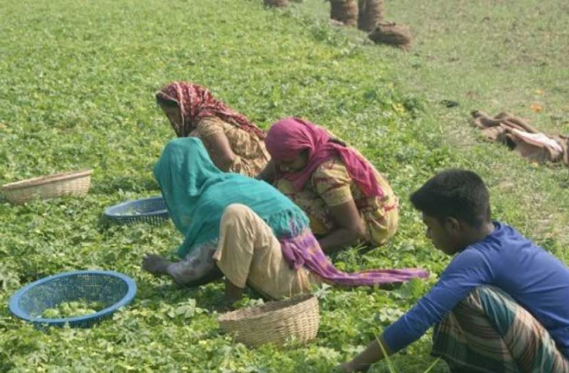 তিতো উচ্ছে মিষ্টি হাসি