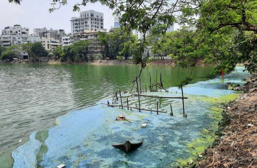 জুন থেকে পরিষ্কার হবে হাতিরঝিলের পানি