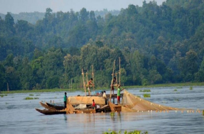 কাপ্তাই হ্রদে বিএফডিসির অভিযান