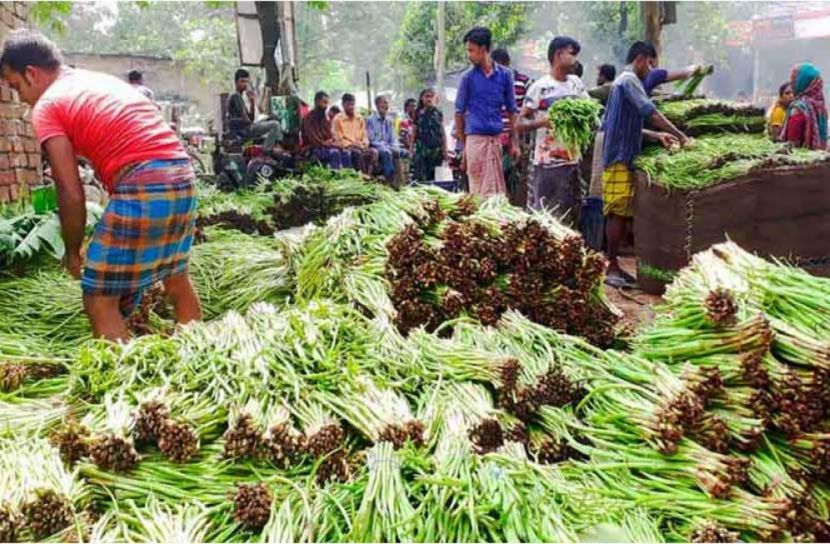 কুমিল্লার কচুর লতি ইউরোপ-আমেরিকায়