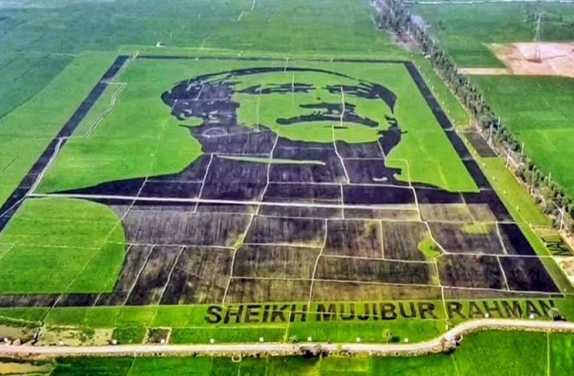 ‘শস্যচিত্রে বঙ্গবন্ধু’র ধান কাটার উদ্বোধন 