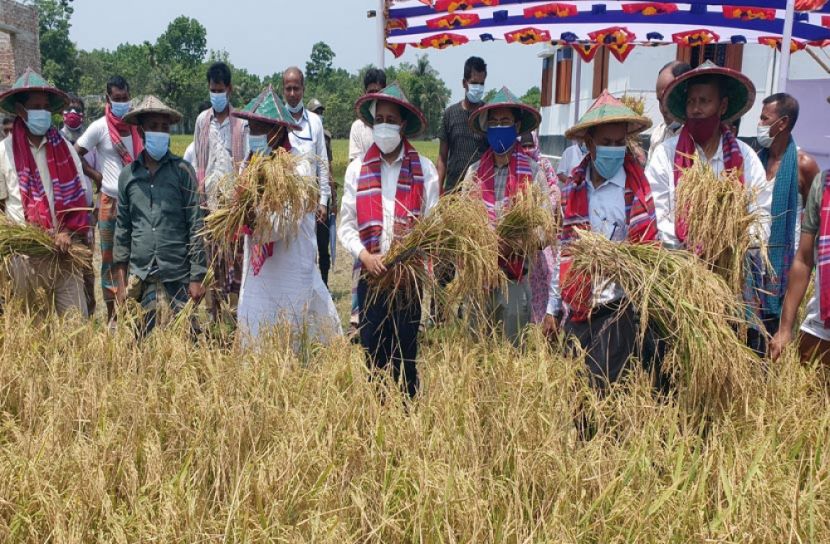কৃষকের ধান কেটে দিলো ফরিদপুর জেলা প্রশাসন