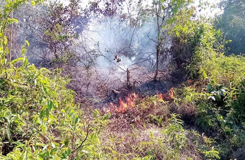 বনবিভাগের অবহেলাতেই লাউয়াছড়া বনে অগ্নিকাণ্ড 