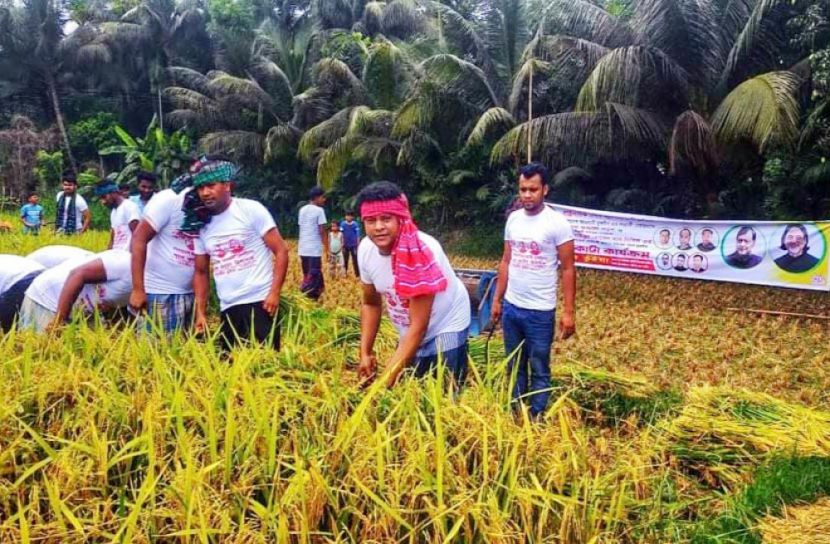 কৃষকের পাশে যুবলীগ নেতা বায়েজীদ 