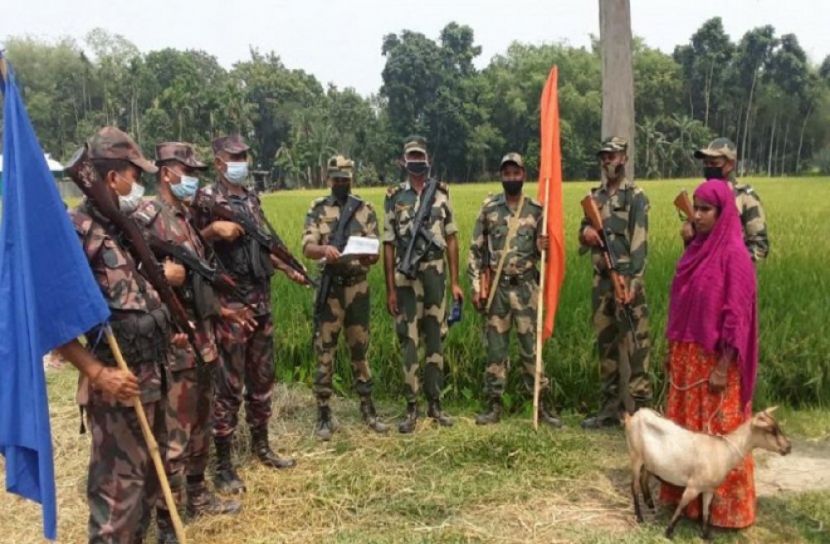 ছাগল খুঁজতে ভারত ছেড়ে বাংলাদেশে 