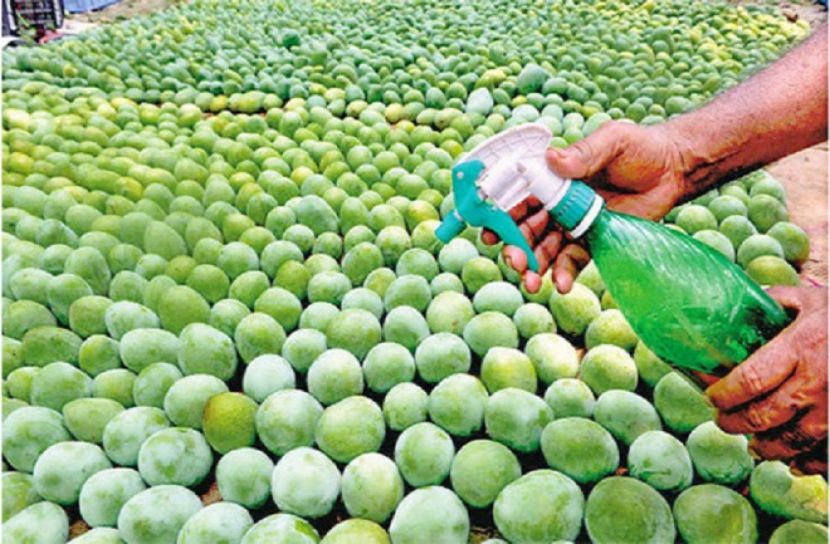 কার্বাইড দিয়ে পাকানো হচ্ছে আম 