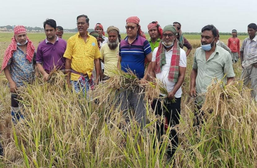 রোজা রেখে কৃষকের ধান কাটে দিলো যুবলীগ