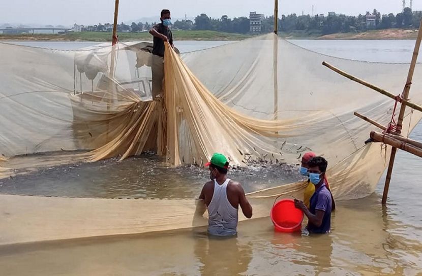 কাপ্তাই হ্রদে মাছের পোনা অবমুক্ত 