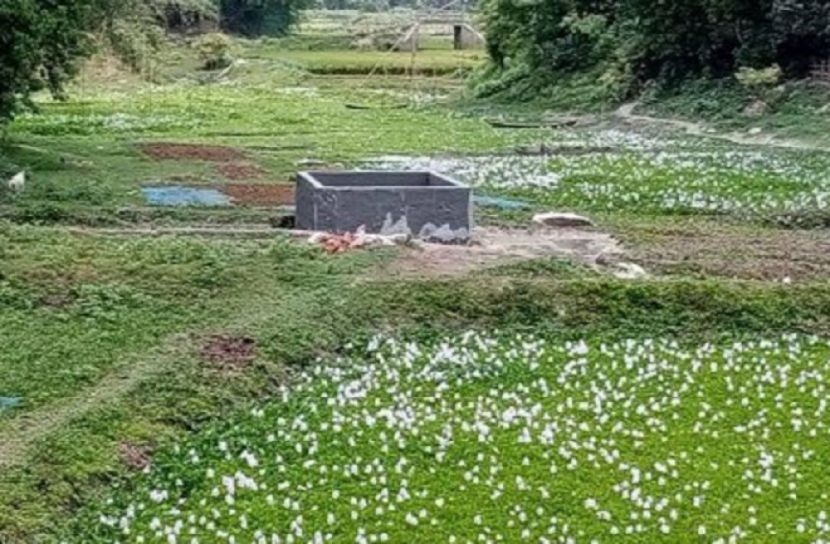 খালের মধ্যে টয়লেটের ট্যাংক নির্মাণের অভিযোগ