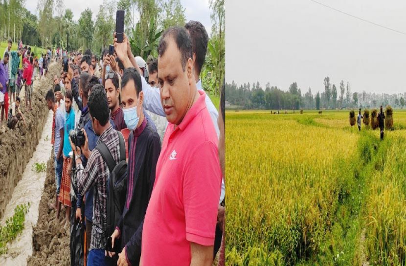 সাবেক ডিসি মাহমুদুলের উদ্যোগে কৃষকের মুখে ফুটেছে হাসি