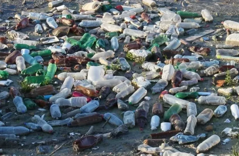 প্রতিদিন ৬৪৬ টন প্লাস্টিক বর্জ্য উৎপাদন