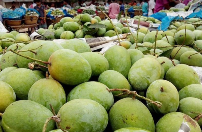 বেঁধে দেয়া হলো আম নামানোর সময়