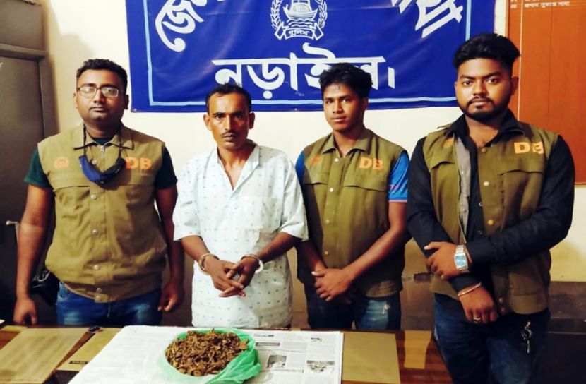 গাঁজাসহ মাদক ব্যবসায়ী গ্রেফতার