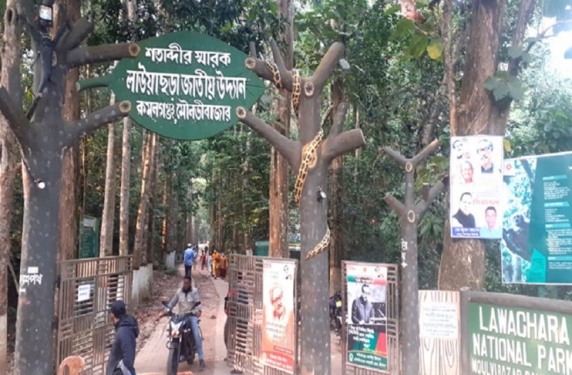 মৌলভীবাজারে পর্যটকদের ভীড় সর্বত্র