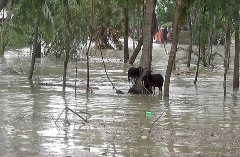 হাতিয়ার নিম্নাঞ্চল প্লাবিত
