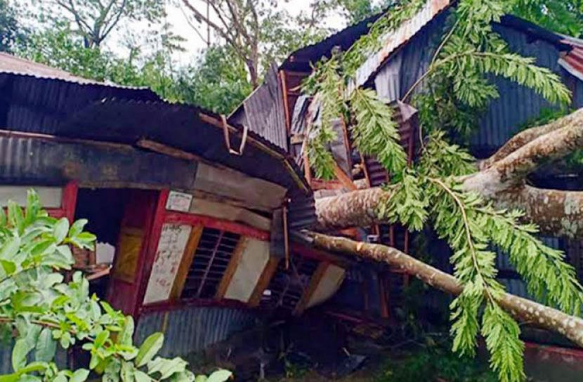 ফাইল ছবি