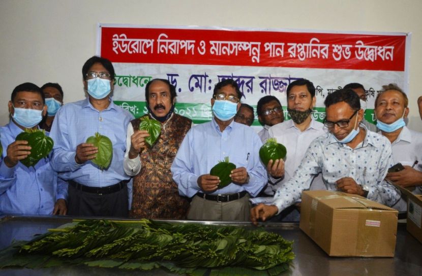ইউরোপে পুনরায় পান রপ্তানি শুরু