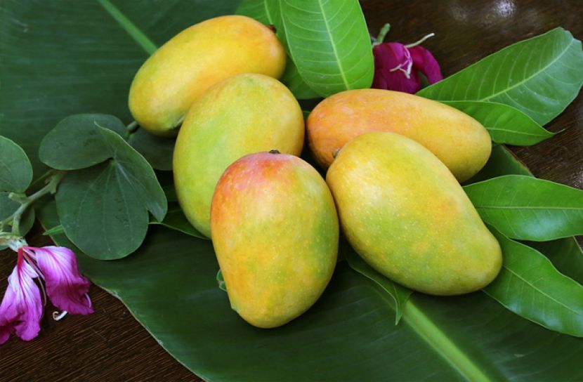 আম খাওয়ার পর যা যা খাবেন না