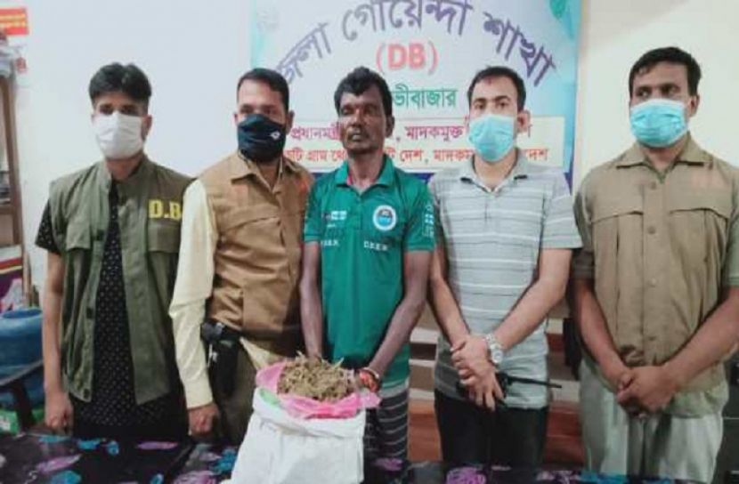 মৌলভীবাজারে গাঁজাসহ মাদক কারবারি আটক