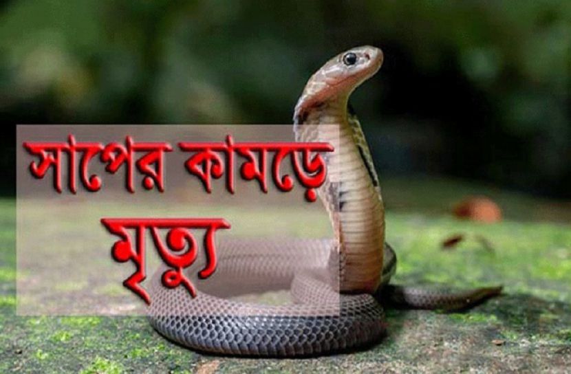 সাপের কামড়ে নারীর মৃত্যু