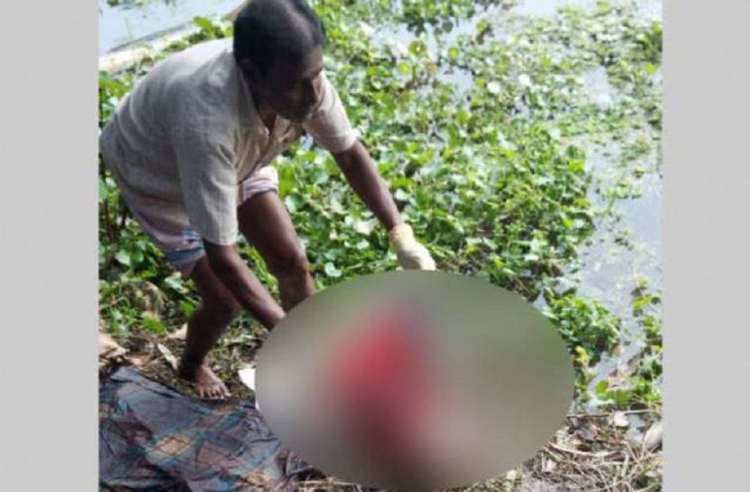 ক্ষেতে গলিত পা বাঁশঝাড়ে হাত