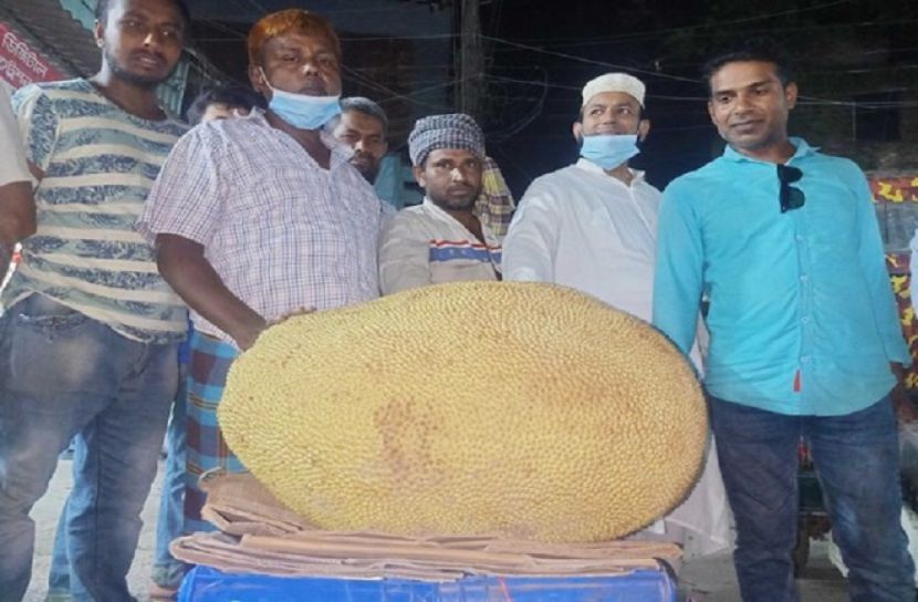 কাঁঠালের দাম ২৩০০ টাকা!