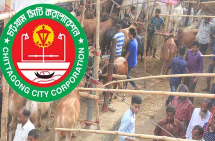 বকেয়া রেখে চসিকের পশুর বাজার ইজারা!