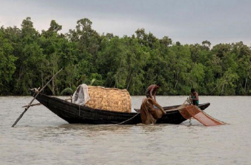 সুন্দরবনে ৫ জেলে আটক