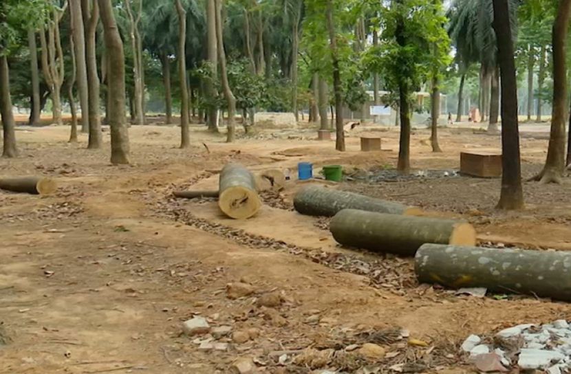 ‘সোহরাওয়ার্দী উদ্যানে প্রচুর গাছ লাগানো হবে’