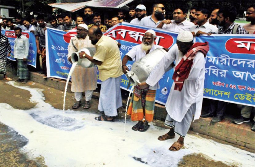 সড়কে দুধ ঢেলে খামারিদের প্রতিবাদ