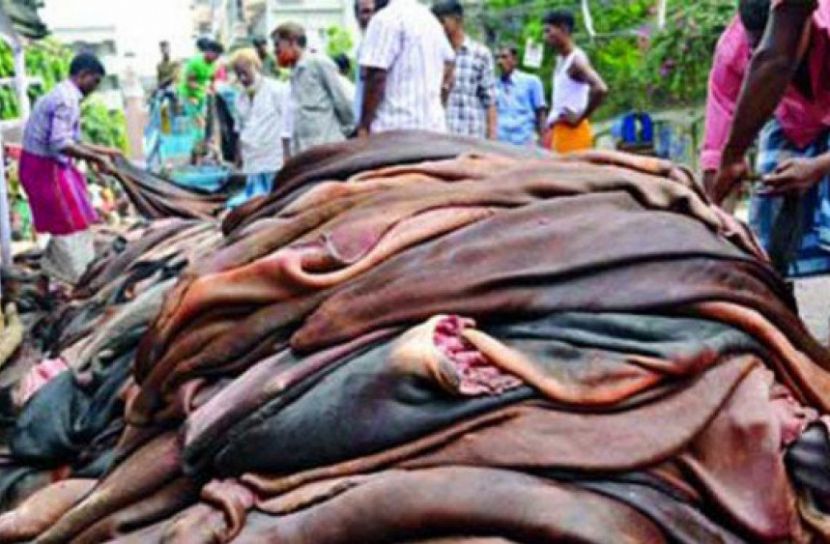 কোরবানির চামড়া নিয়ে বৈঠক  আজ