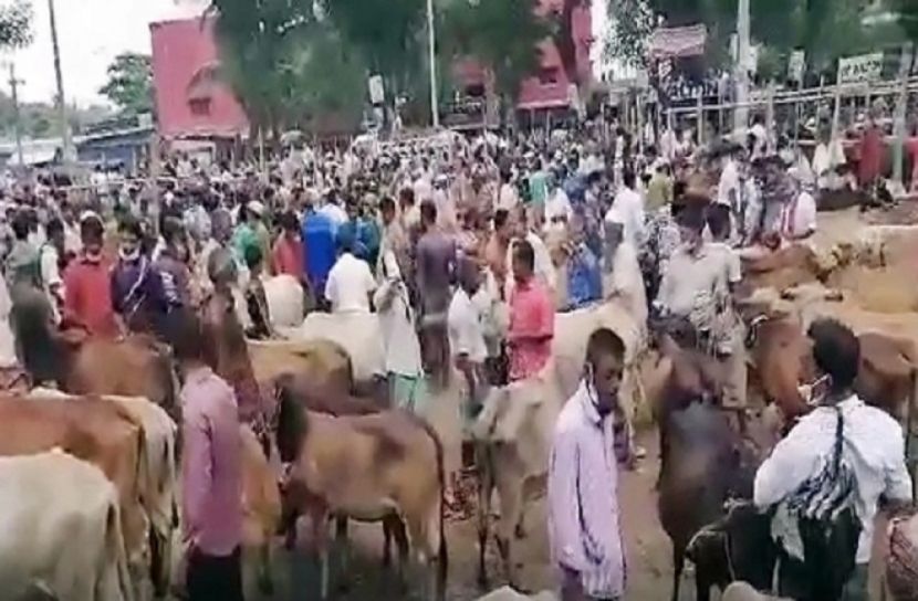 বিধি-নিষেধ উপেক্ষা করে পশুর হাট